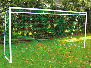 Fußballtor Niersbach